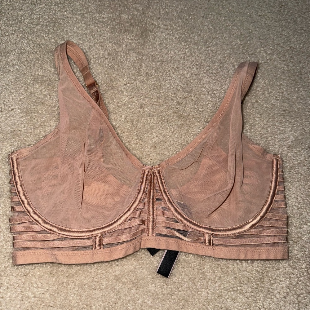 Victoria's Secret Sheer Mesh Bra in Nude